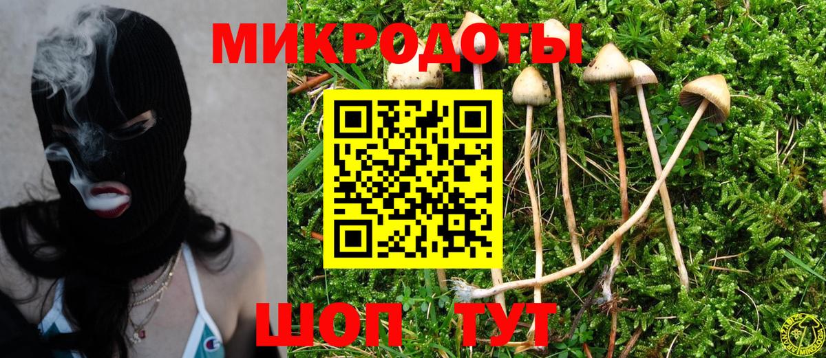 Галлюциногенные грибы мицелий  Псилоцибиновые грибы MAGIC MUSHROOMS  Вход с VPN  Дмитров 